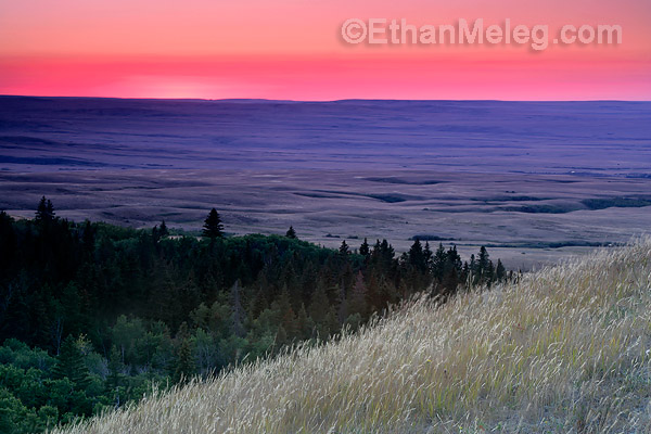 Cypress Hills Inter-provincial Park, Saskatchewan.