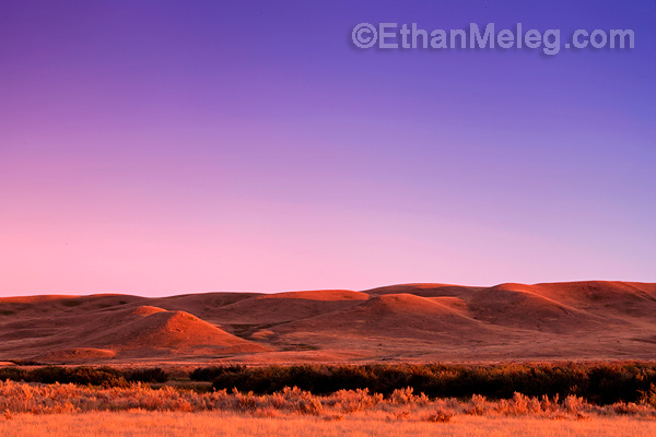 Grasslands National Park, southern Saskatchewan.