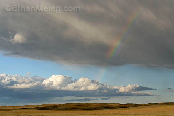 Grasslands National Park, southern Saskatchewan.