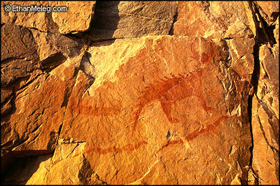 http://www.ethanmeleg.com/Images/pictographs2.jpg